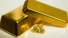 Man grävde pool – hittade guld: så låg skatten, värd 800 000 dollar, gömd under marken