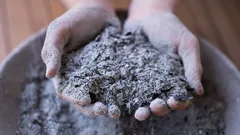 Träaska under snön: 5 steg för att berika jorden för perfekt växtkraft till våren