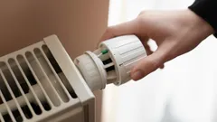 Få känner till det här knepet med elementet – du märker besparingen direkt